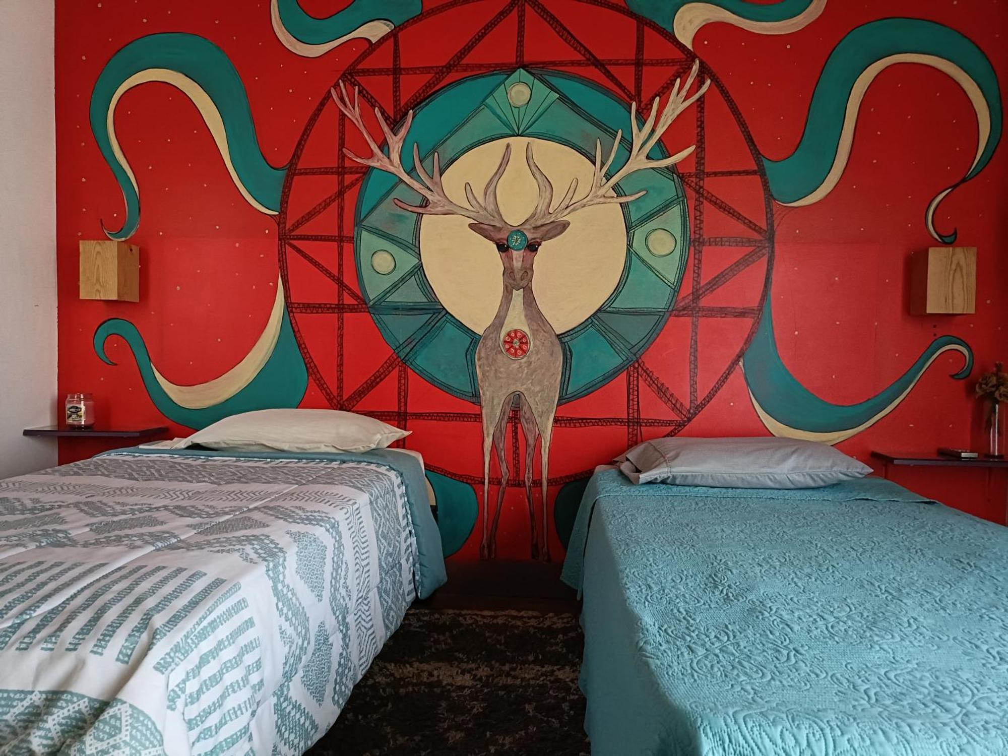 Adventure Inn La Paz Quarto foto